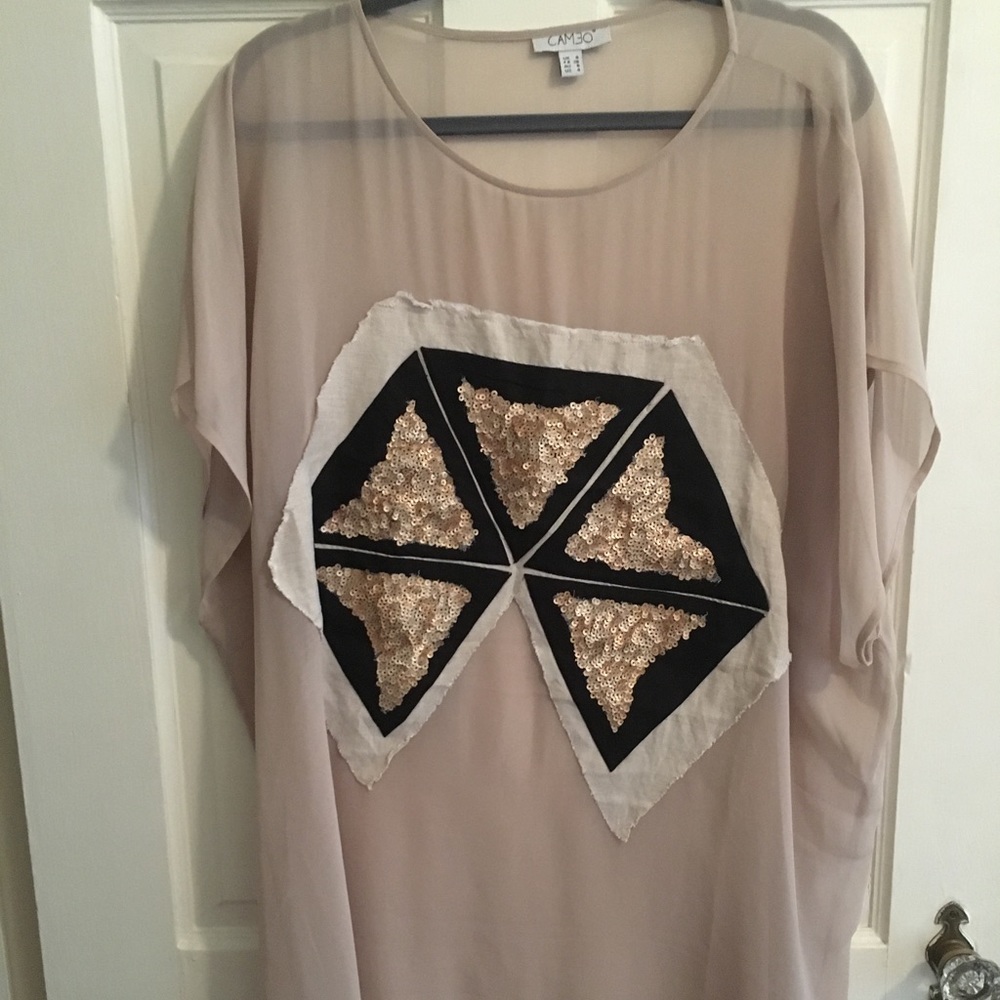 Cameo sheer top/cover up/dress